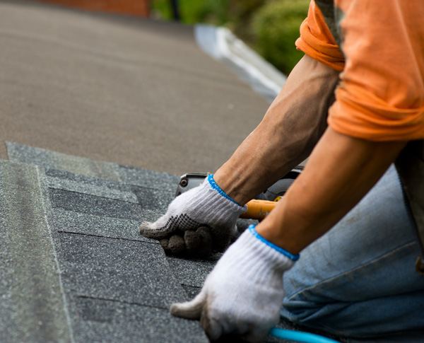 Professional Roofing Contractor