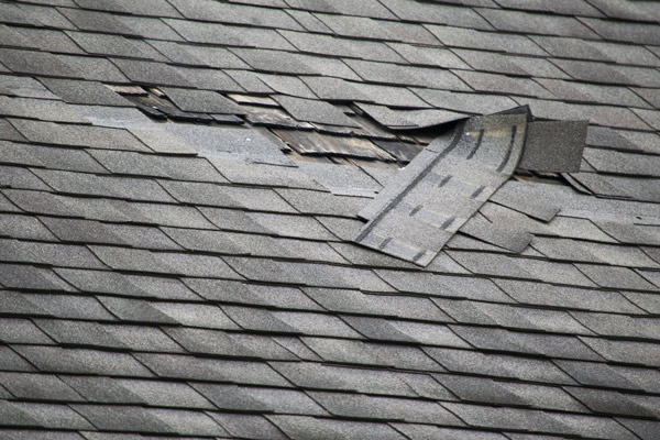 Residential Roofing Repair Services